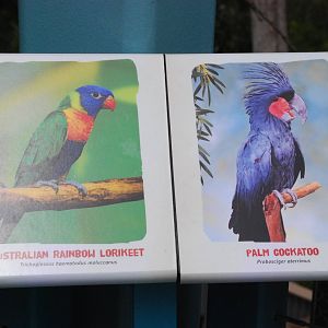 Australian Outback- Palm cockatoo and Rainbow lorikeet signage