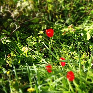 New camera test uploads