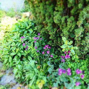 New camera test uploads