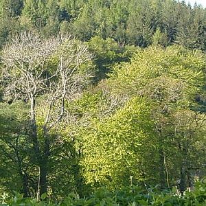 New camera test uploads