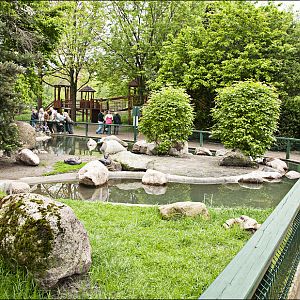Penguin exhibit at Thüle