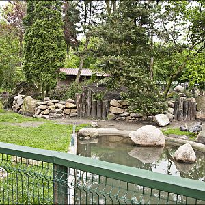 Penguin exhibit at Thüle