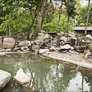 Penguin exhibit at Thüle