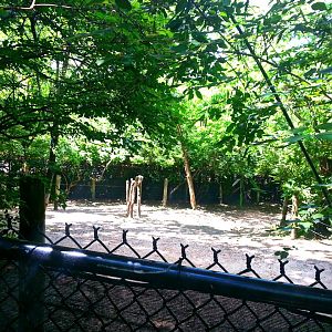 May 2013 - Wildlife Canyon - Sucis Private Yard