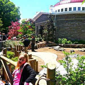 May 2013 - Reptile House - Galapagos Tortoise Encounter