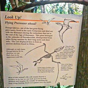 May 2013 - Wings of the World - Look Up! - Dsungaripterus sign