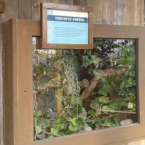 hidden poppua enclosure