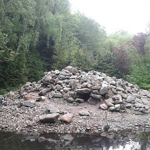 African pinguin enclosure