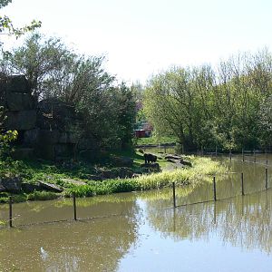 Gorilla Island at Blackpool Zoo, 26/05/13
