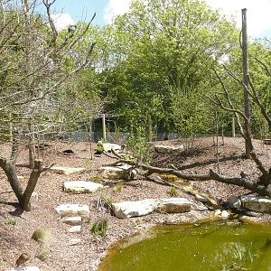 New walk-through aviary