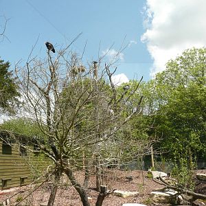 New Walk-through Aviary