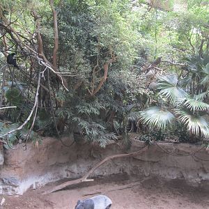 Bronx zoo- Jungleworld