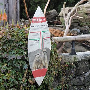 signage at meerkat enclosure