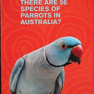 an unfortunate choice of photo on signage....