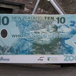 photo opportunity by the blue duck aviary