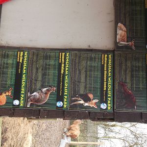 walk through signage