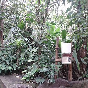 View in one of the free-flight sections