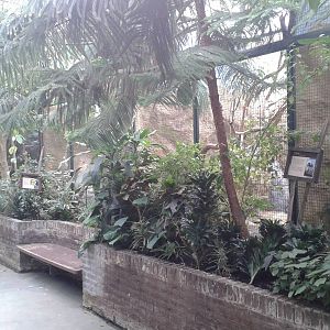 Marmoset and Toco tucan enclosures