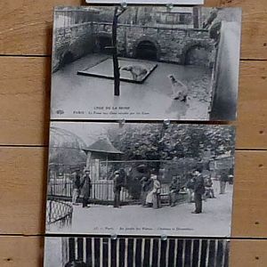 historic photo display