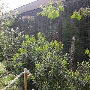 Behind the scenes enclosures