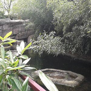 Otter enclosure