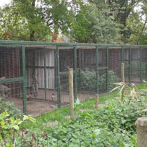 Holding pens for 'surplus' animals