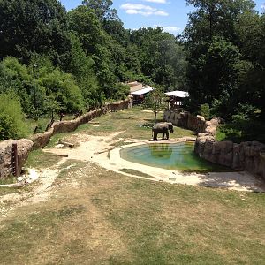 Asian Elephant Exhibit