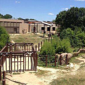 Elephant Trails Exhibits and Construction