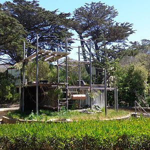 Chimp Island #1 (2013)