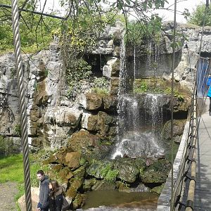 Asiatic wetland walk-through aviary