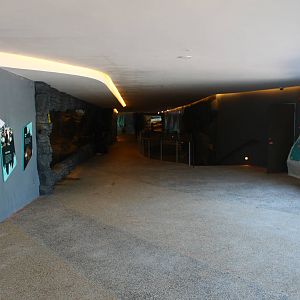 Frozen Tundra - Indoor Gallery