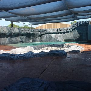 Frozen Tundra - Polar Bear exhibit