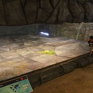 Frozen Tundra - Polar Bear Indoor "Cave"