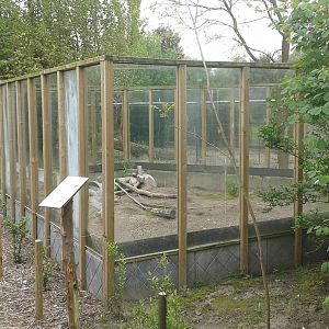 Enclosure prairiedogs
