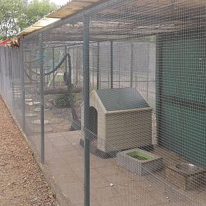 Enclosure Coati´s