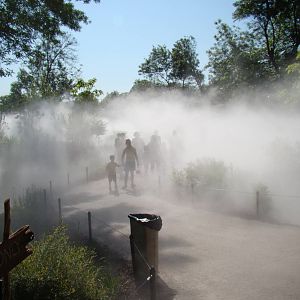 Misty entrance to Africa