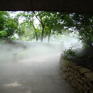 Tunnel Entrance to Africa