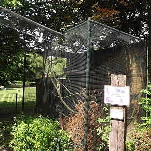 Squirrel enclosure