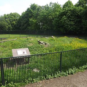 Prairie dog enclosure