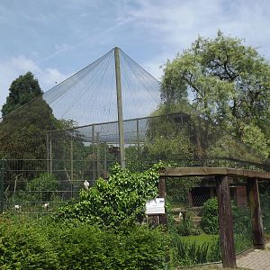 Wetland aviary