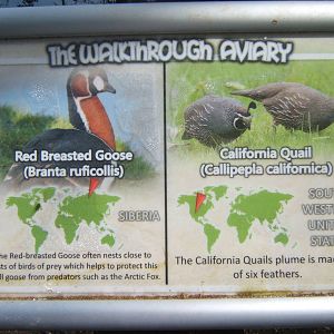 Signage example for walk through aviary