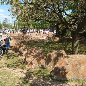 Full view of the Giant Tortoise enclosure
