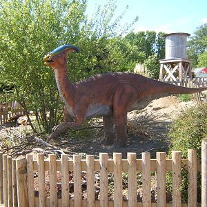 View of Dinosaur set up