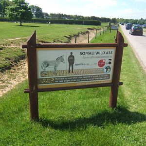 Signage example