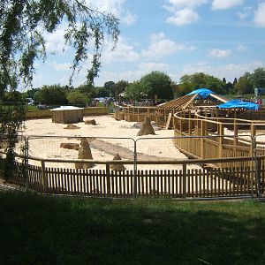 View of new exhibit underconstruction