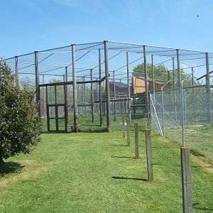View of finished Crane and Bird of Prey Aviarys