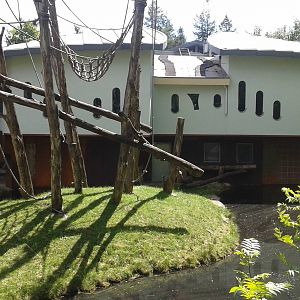 Borneo Orang Utan-house