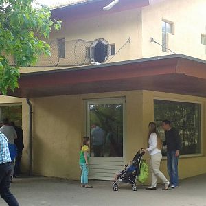 Proboscis monkey-house