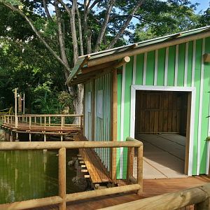 Entrance house (spider monkey viewing area)