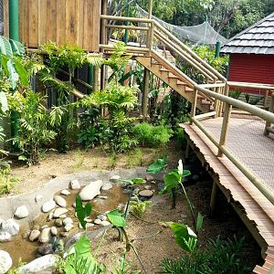 pathway and explorer house